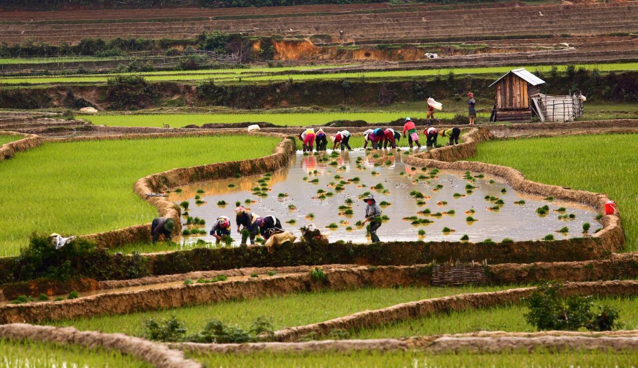 Mu Cang Chai Eco Lodge Nam San Exteriör bild