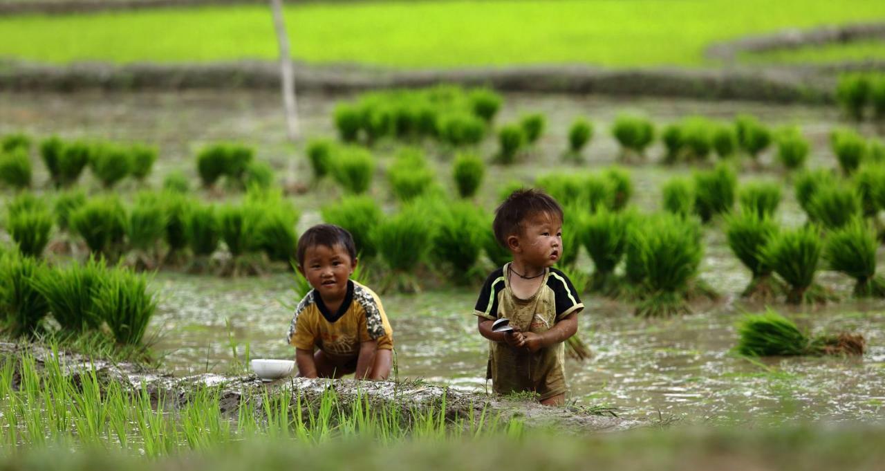 Mu Cang Chai Eco Lodge Nam San Exteriör bild
