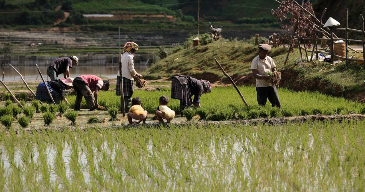 Mu Cang Chai Eco Lodge Nam San Exteriör bild