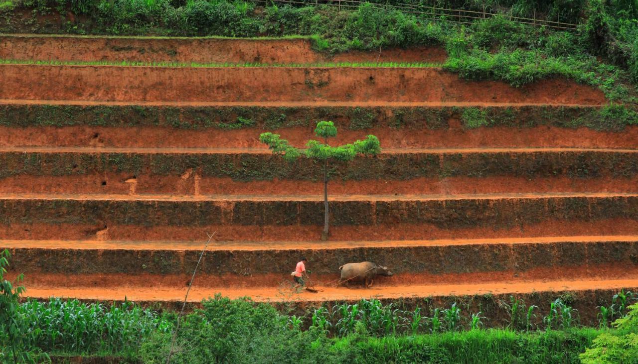 Mu Cang Chai Eco Lodge Nam San Exteriör bild